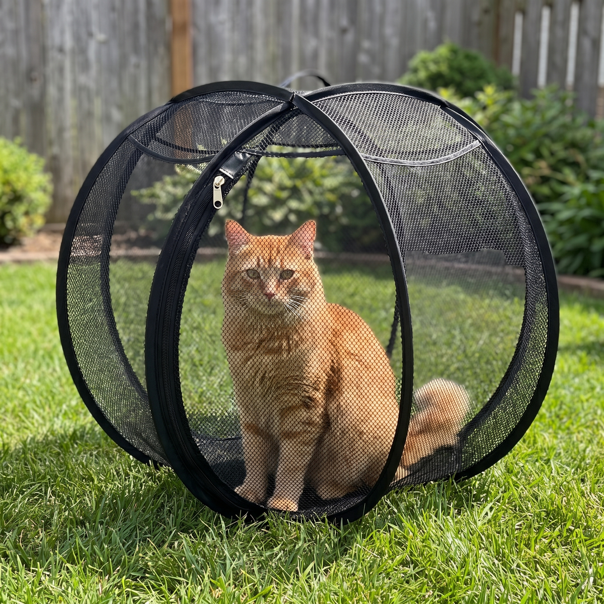 SpinnyMew black outdoor cat playpen on the lawn with a tabby cat inside