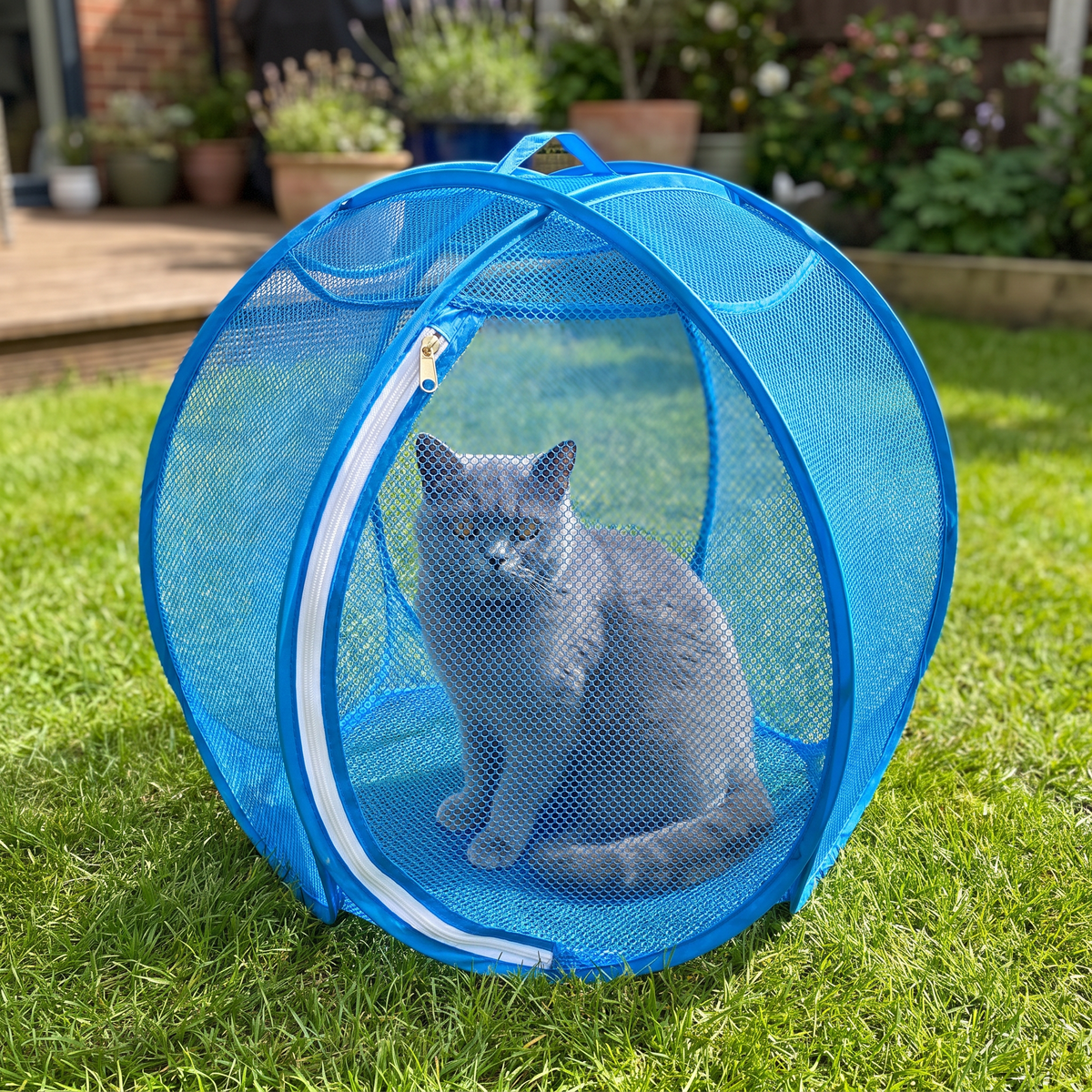 SpinnyMew blue cat playpen with a grey cat