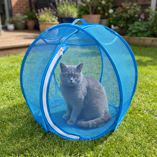 SpinnyMew blue cat playpen with a grey cat