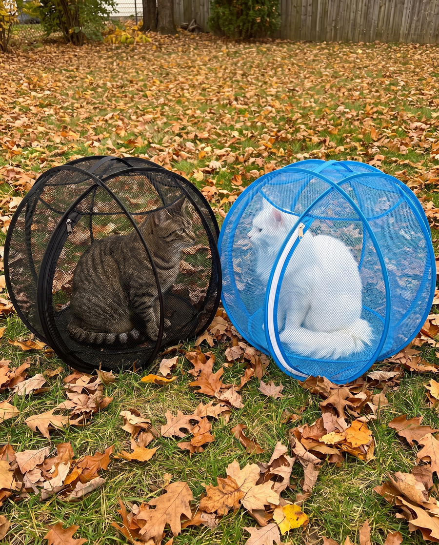 Two cats side by side in SpinnyMew playpens